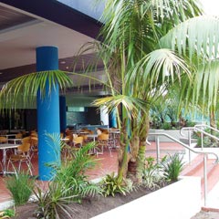 Club Forster - Accommodation Australia 0