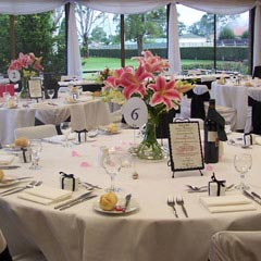 Club Taree - Local Tourism 0