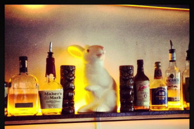 Hairy Canary - Accommodation Australia 0
