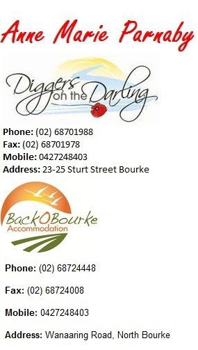 Back O' Bourke Motel - Local Tourism 7