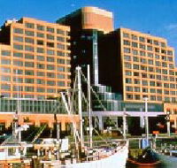The Atrium Bar - Local Tourism