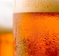 Coledale Fine Wines - Local Tourism