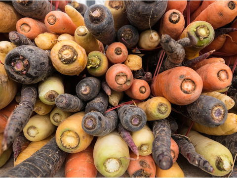 Alphington Farmers' Market - Local Tourism 2