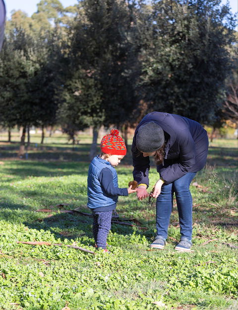 A Taste Of Truffles - Local Tourism 2