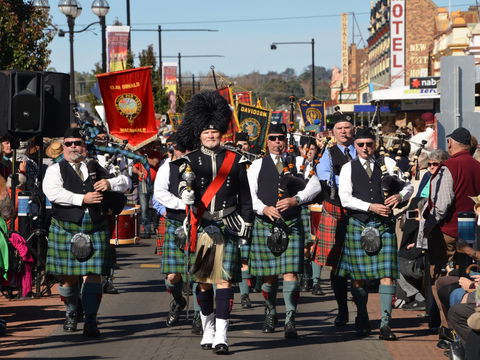 Australian Celtic Festival - Local Tourism 0