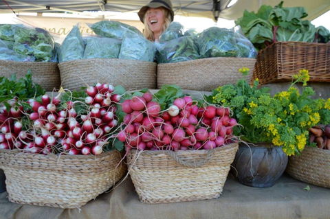 Berry Farmers' Market - Accommodation Australia 0