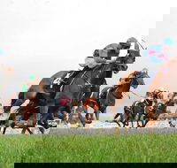 Christmas Cup Race Day - Accommodation Australia