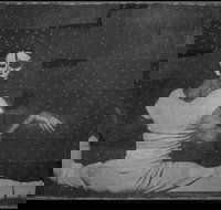 David Noonan Stagecraft - Australia Shopping