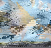 Dreams of Air and Flight - Local Tourism