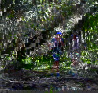 Elephant Trail Race - Local Tourism