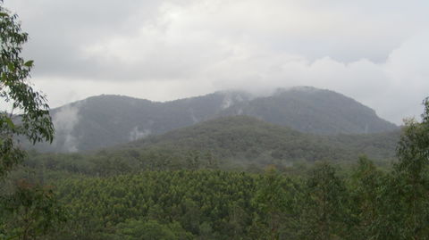 Elephant Trail Race - Local Tourism 2