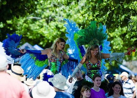 Family Fun Carnivale - Accommodation Australia 0