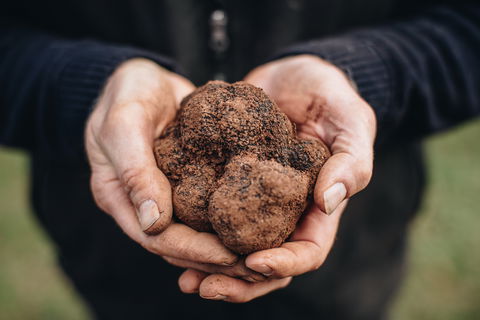 Feast And Forage - Craig's Royal Hotel - Accommodation Australia 0