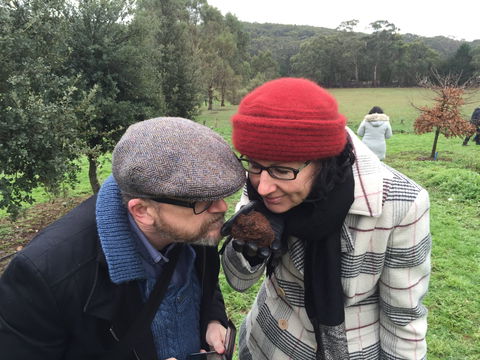 Feast And Forage - Craig's Royal Hotel - Accommodation Australia 1