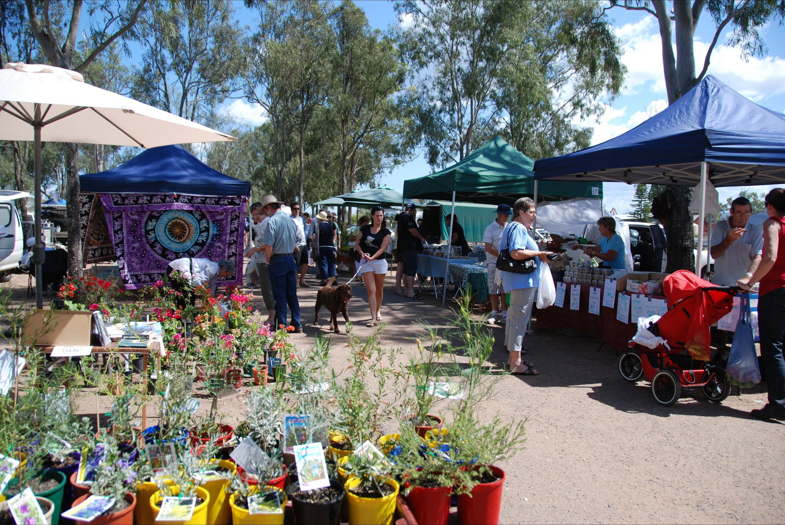 Fernvale QLD Local Tourism