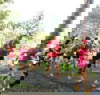 Gladstone Weekly Parkrun - Local Tourism