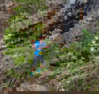 Goldrush Trail Runs