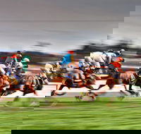 Grafton July Racing Carnival - Accommodation Australia
