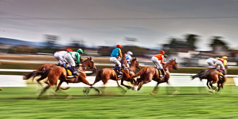 Grafton July Racing Carnival - Bed n Breakfasts 0