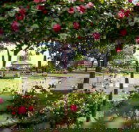 Griffith Spring Fest - Local Tourism