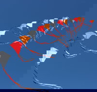 Harden Kite Festival - Accommodation Australia