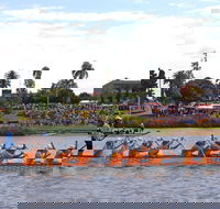 Jacaranda Dragon Boat Races - Accommodation Australia