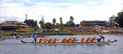 Jacaranda Dragon Boat Races - Bed n Breakfasts 0