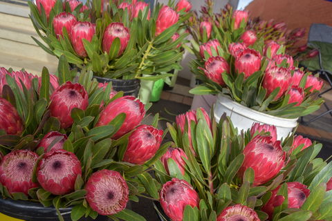 Junee Rotary Farmers Markets - Local Tourism 0