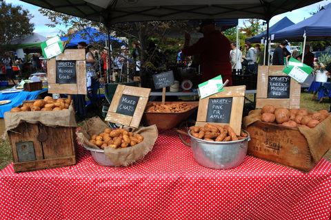 Lawson Park Markets - Local Tourism 0