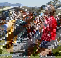 Lovedale Long Lunch - Local Tourism