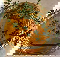 Online live streaming class DIY Skincare Products - Accommodation Australia