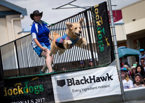 Perth Royal Show - Local Tourism 2