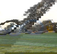 SculptureShaw - Local Tourism