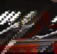 SwanSongs - Ghosts Fools and Seers - Accommodation Australia