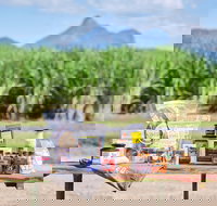 Taste Tweed - Australia Shopping