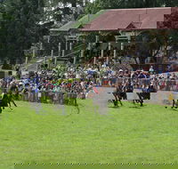 Tumut Derby Day - Accommodation Australia
