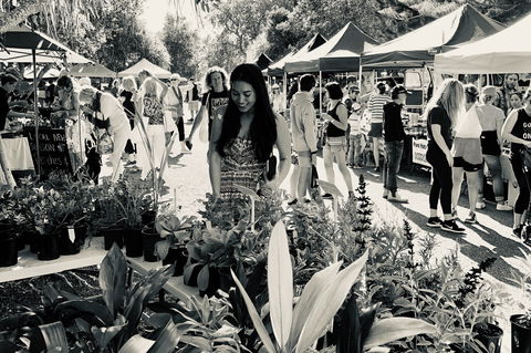 Yamba Farmers And Producers Market - Local Tourism 0