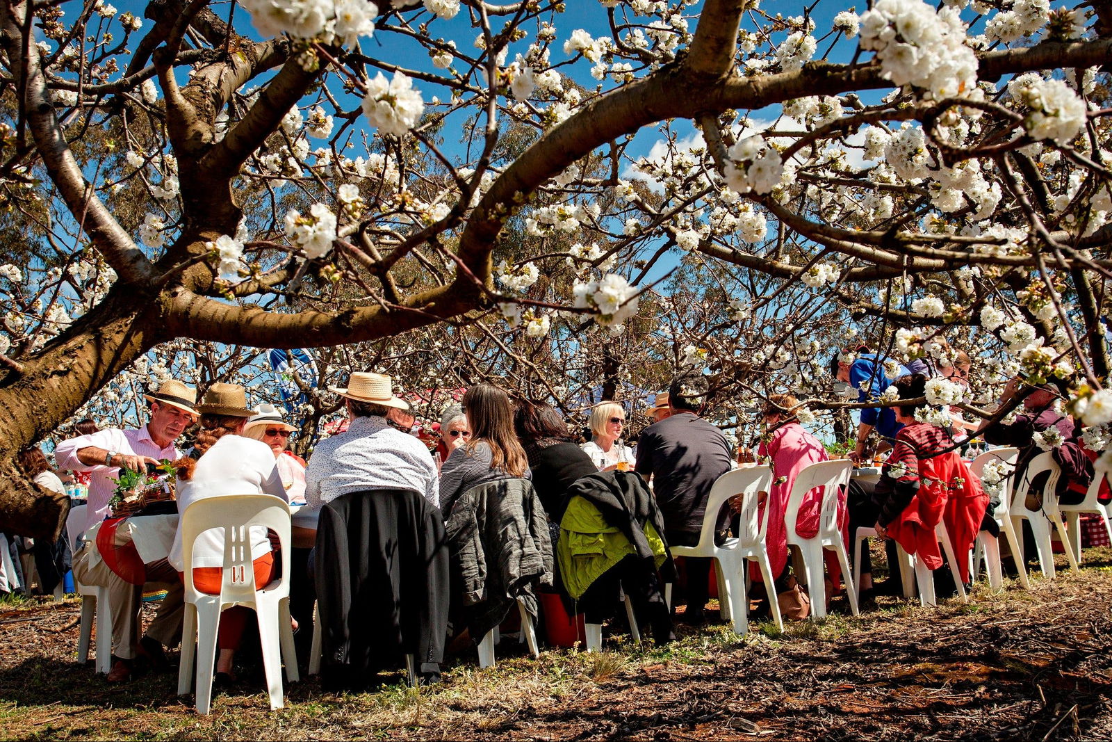 Maimuru NSW Local Tourism
