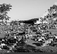 Yours and Owls Festival - Local Tourism