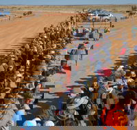 28th Marree Australasian CAMEL CUP 3 July 2021 - Accommodation Australia