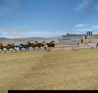 Adaminaby Cup Race Day - Accommodation Australia