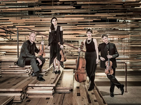Australian String Quartet Plays Late Beethoven - Local Tourism 2