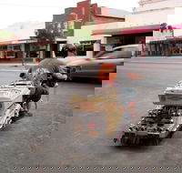 Bombala Bike Show - Local Tourism