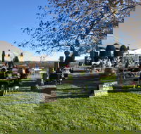 Cheese and Wine Experience - Local Tourism