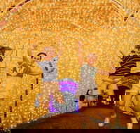 Christmas Lights Spectacular New Year's Eve at Hunter Valley Gardens - Accommodation Australia