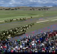 Cooma Sundowners Cup - Accommodation Australia