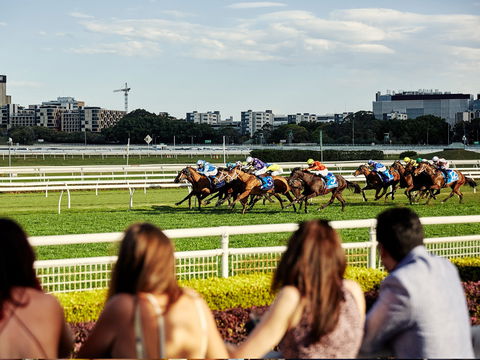 Cup Day - Local Tourism 1