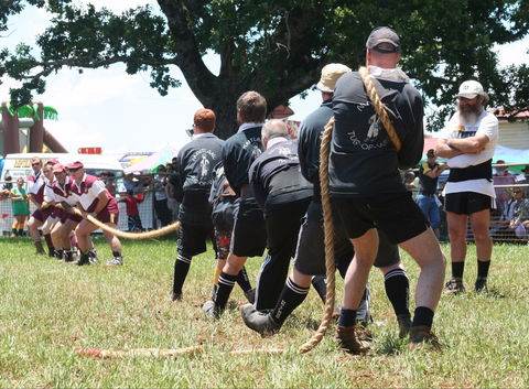 Dorrigo Agricultural Show - Accommodation Australia 1