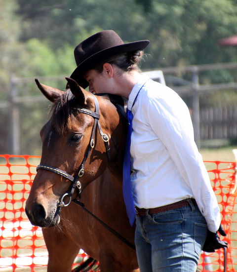 Dorrigo Agricultural Show - Accommodation Australia 2