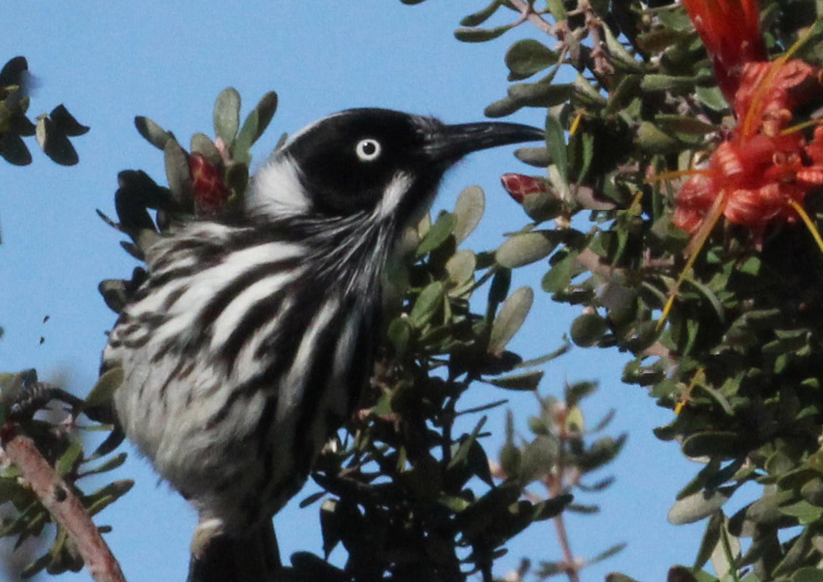 Castletown WA Local Tourism